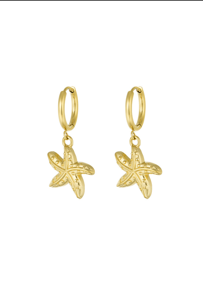 Ohrringe Seesterne 2