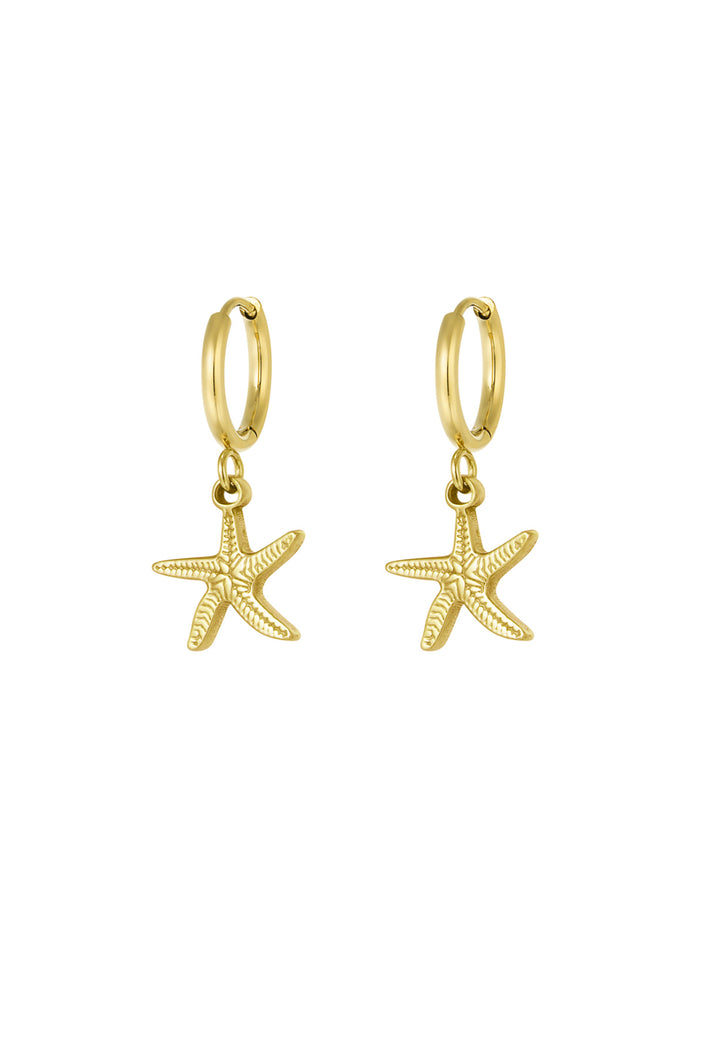 Ohrringe Seesterne
