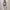 T-Shirt Kleid mit Schlitz