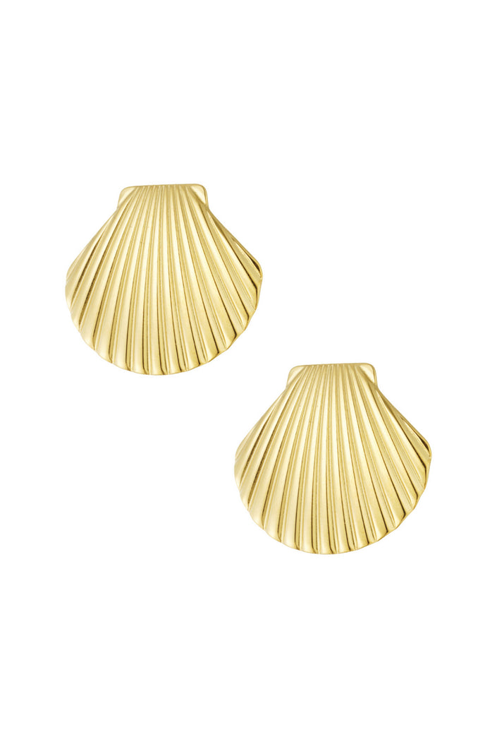 Ohrringe große Muscheln