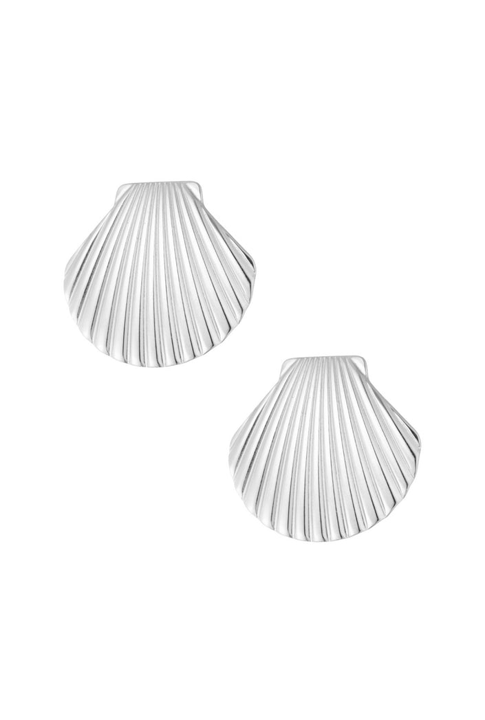 Ohrringe große Muscheln