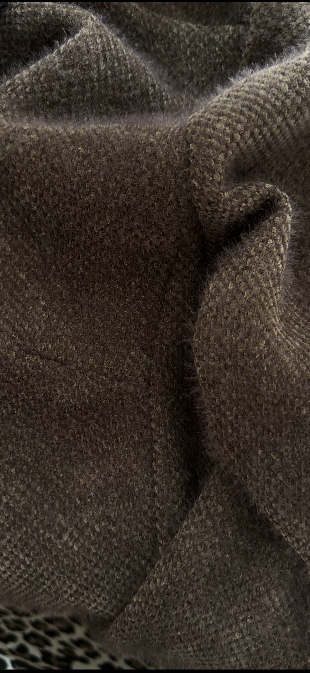 Elegant Teddy Jacket